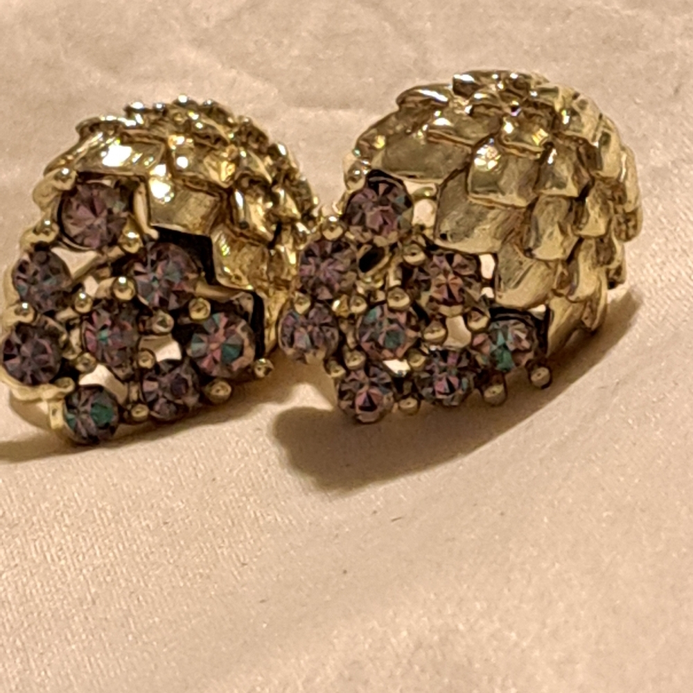 ⌛️ Grape Earrings 4/17